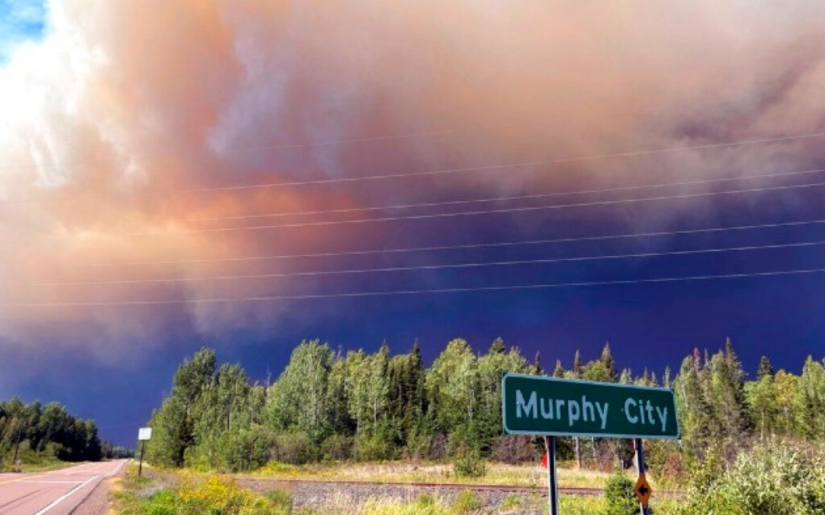 Dovetail's Teresa Floberg Discusses Growing Wildfire Risks in Minnesota